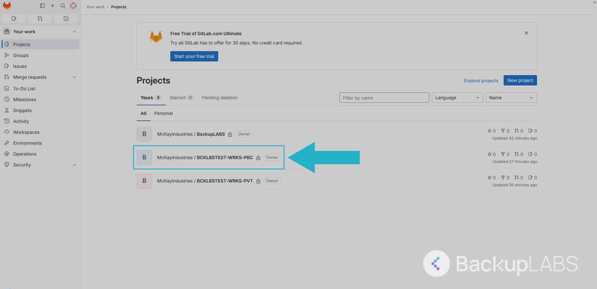 Manually export and download from GitLab