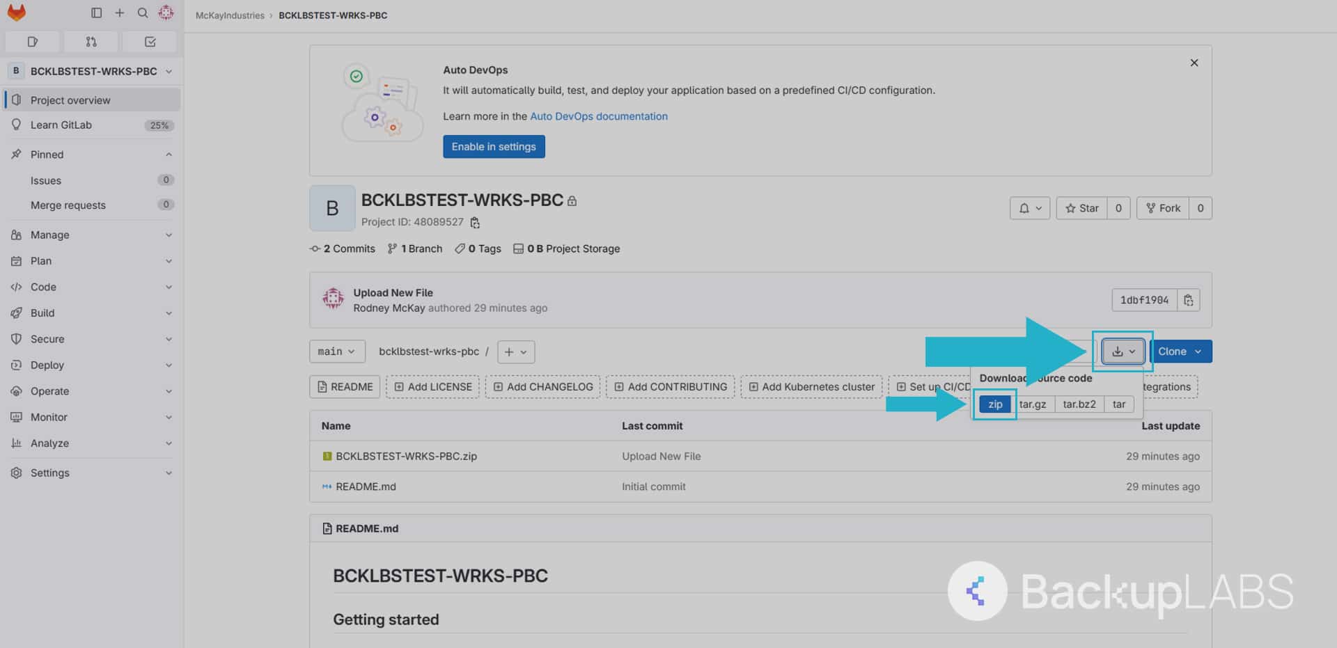 Locate the download icon (next to the clone button), then select zip