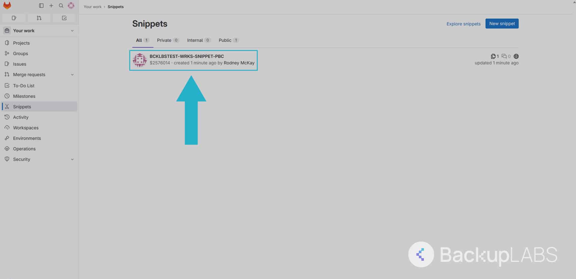 Using the side menu, select snippets